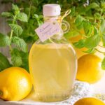 zitronen ingwer sirup thermomix