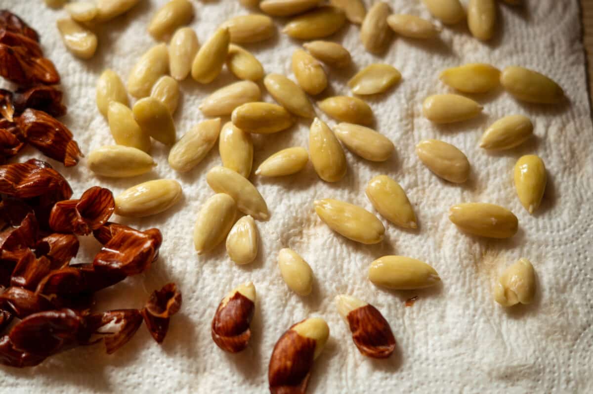Blanched, peeled almonds on a kitchen towel after removing the skins with the Thermomix®