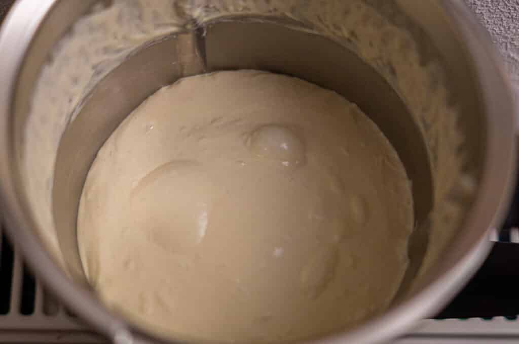 Kneading yeast dough in the Thermomix®