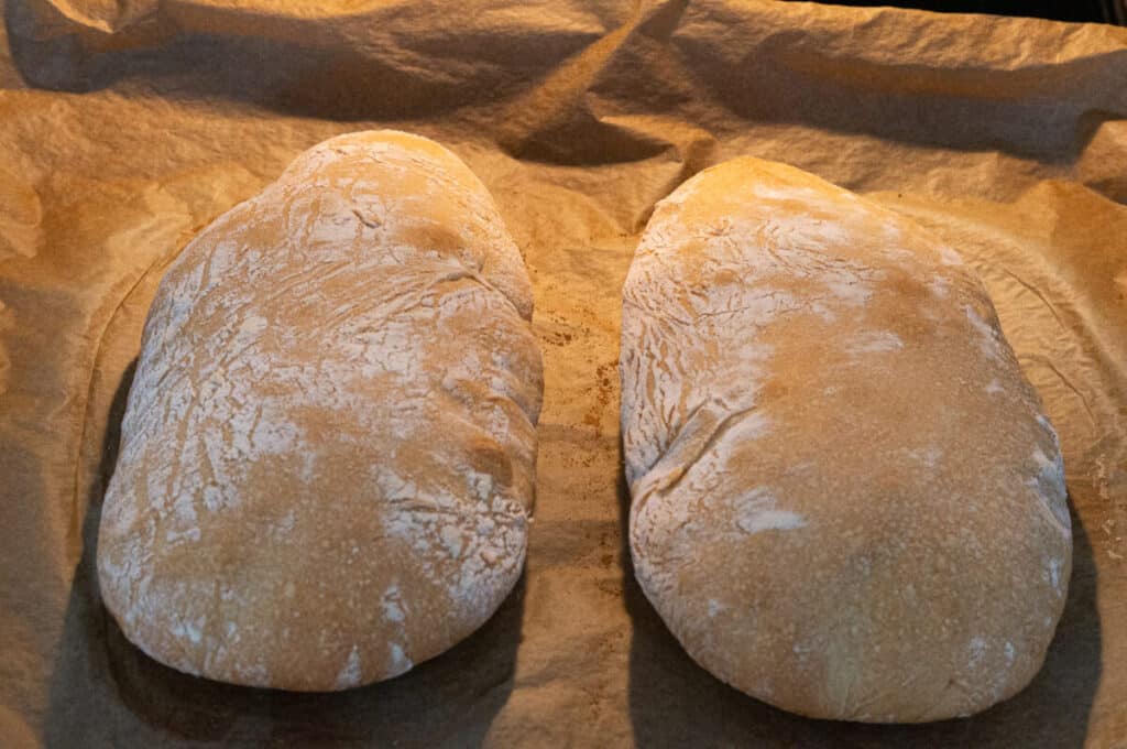 Freshly baked ciabatta out of the oven, crispy crust