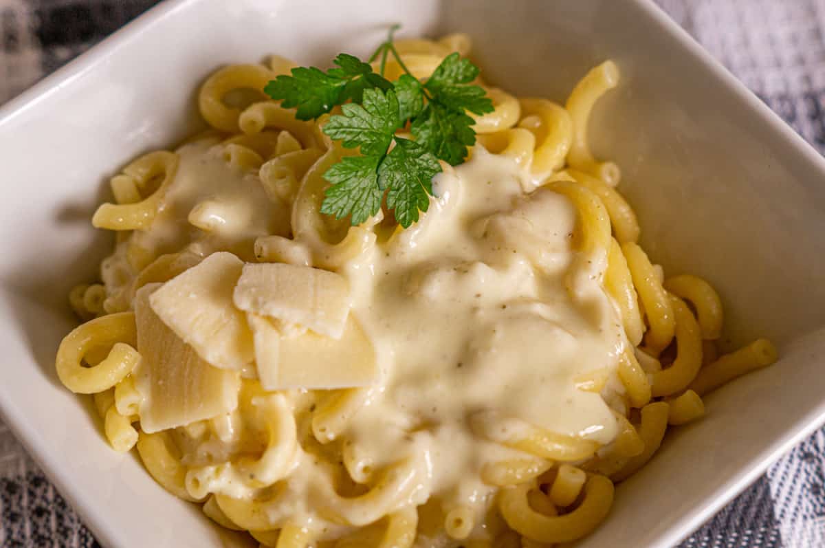 Cream sauce made in the Thermomix® served with pasta