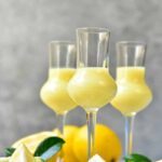 Crema di Limoncello with the Thermomix® made in the Thermomix®