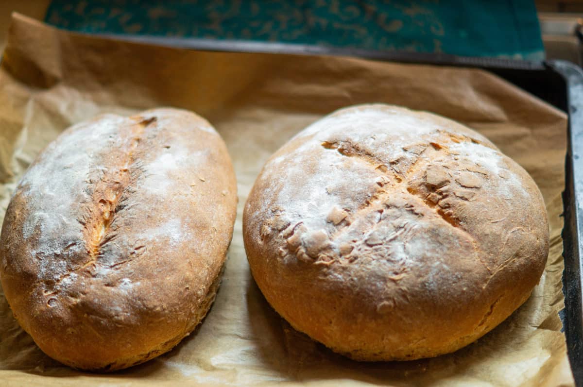 Mixed loaf (Hausbrot) baked with the Thermomix®, whole loaves