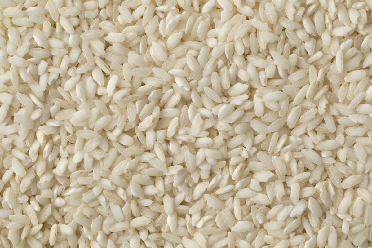 What Carnaroli Risotto rice looks like