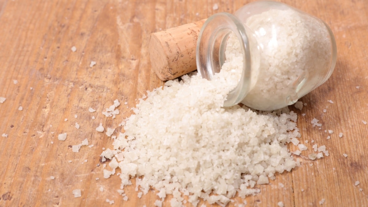 Lemon Salt Thermomix® recipe