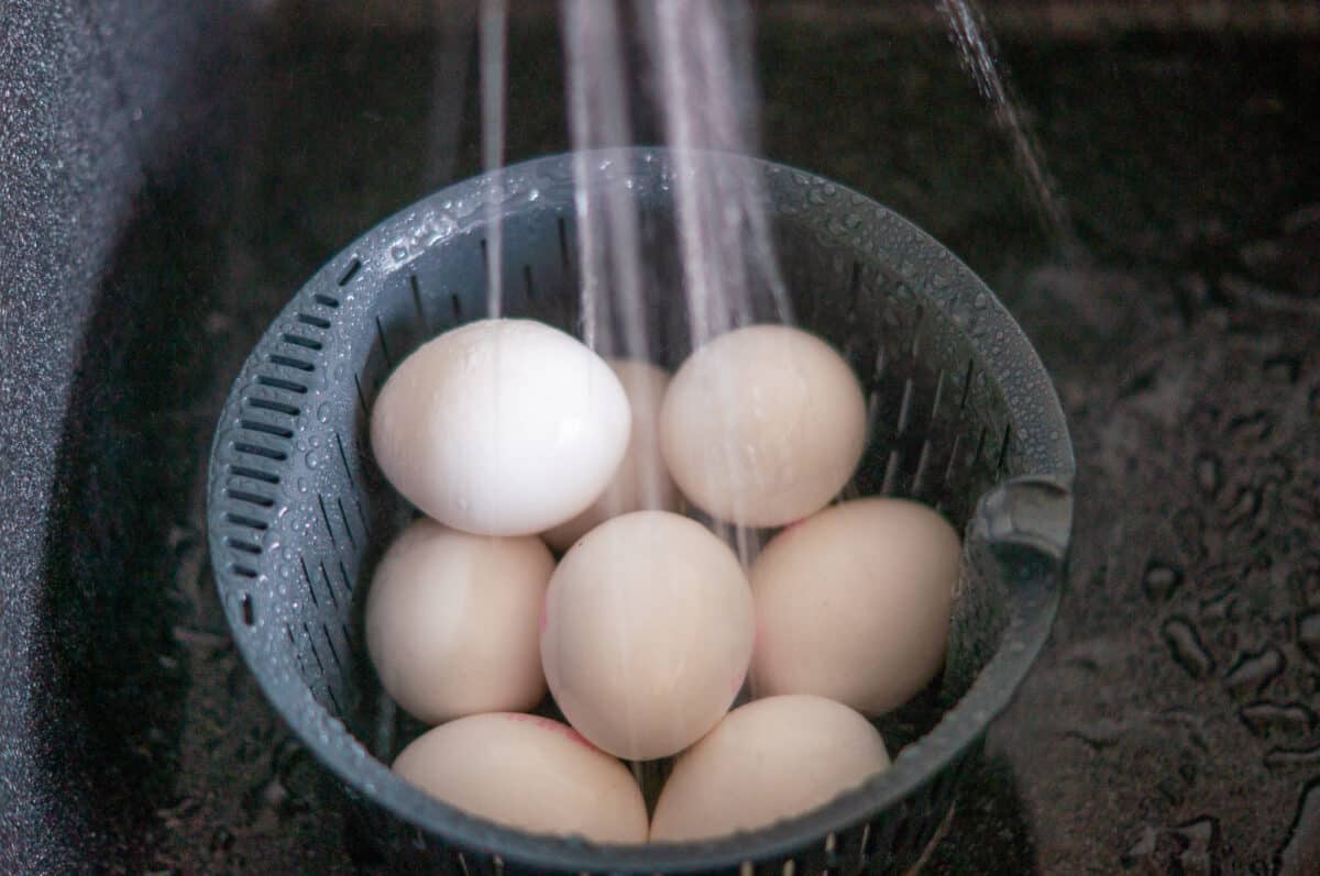 Refreshing the eggs