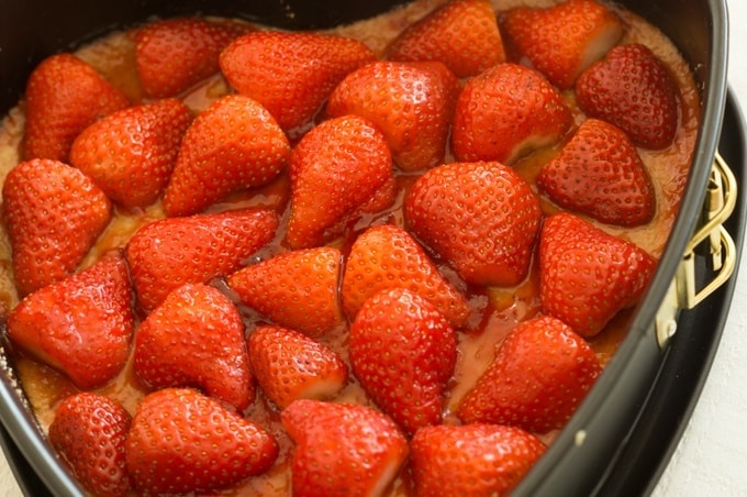 This is what the base looks like with the strawberries before the cheesecake mixture is poured over it.