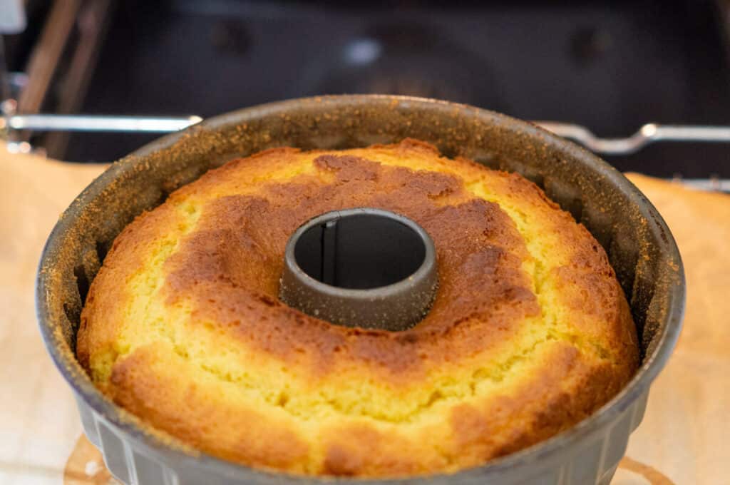 Baked cake in bundt tin
