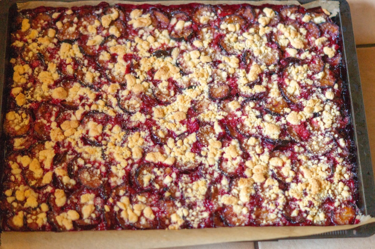 Quick Plum Traybake made with the Thermomix® on the baking tray