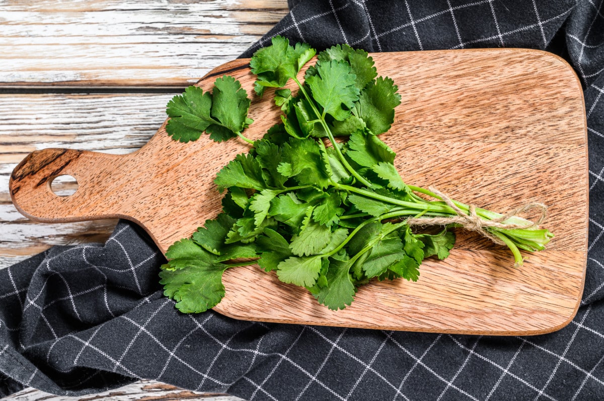 Chopping coriander