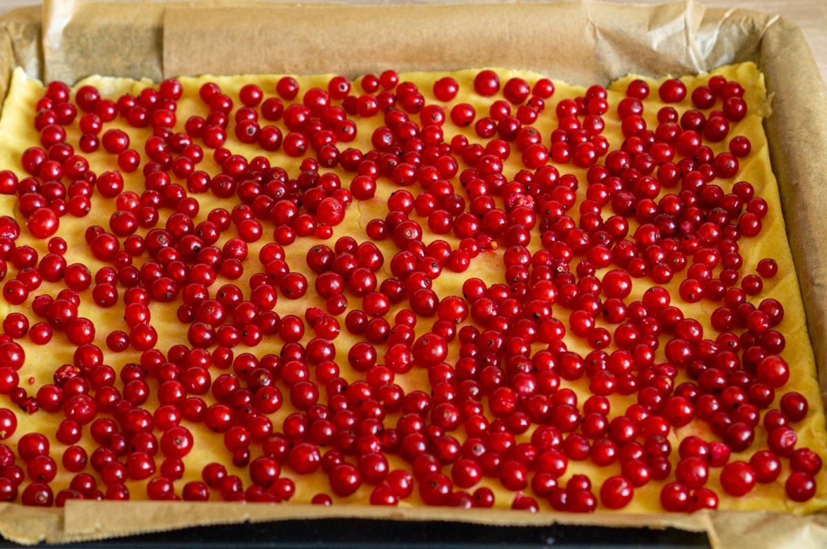 Thermomix® redcurrant cake pastry base topped with redcurrants