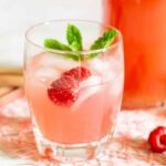 Rhubarb Syrup with the Thermomix® made in the Thermomix®