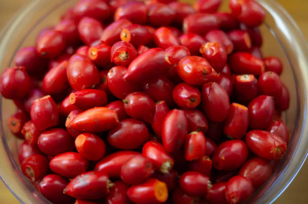 Prepared rosehips ready for the Thermomix® jam