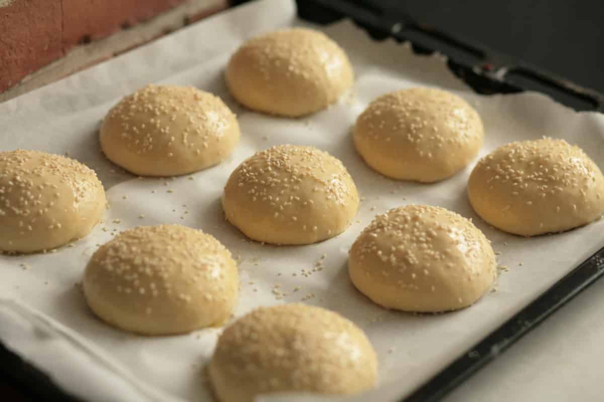 Burger bun dough pieces on a baking tray before baking, brushed with egg glaze and sprinkled with sesame seeds