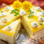 Solero Cake with the Thermomix® made in the Thermomix®