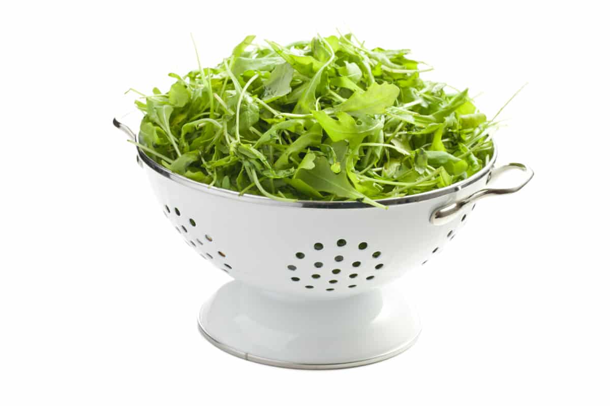 Washing rocket