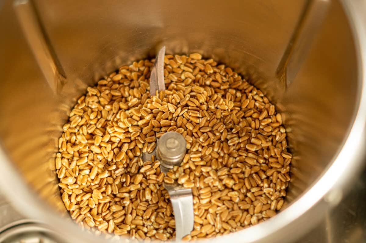 Spelt Wholemeal Sticks with the Thermomix® (step 1)