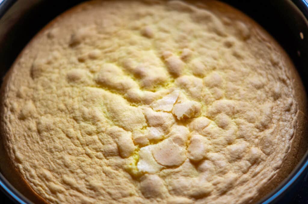 Sponge cake base (basic recipe) made in the Thermomix®