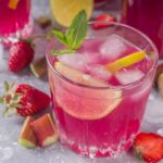 Strawberry Rhubarb Gin with the Thermomix® made in the Thermomix®