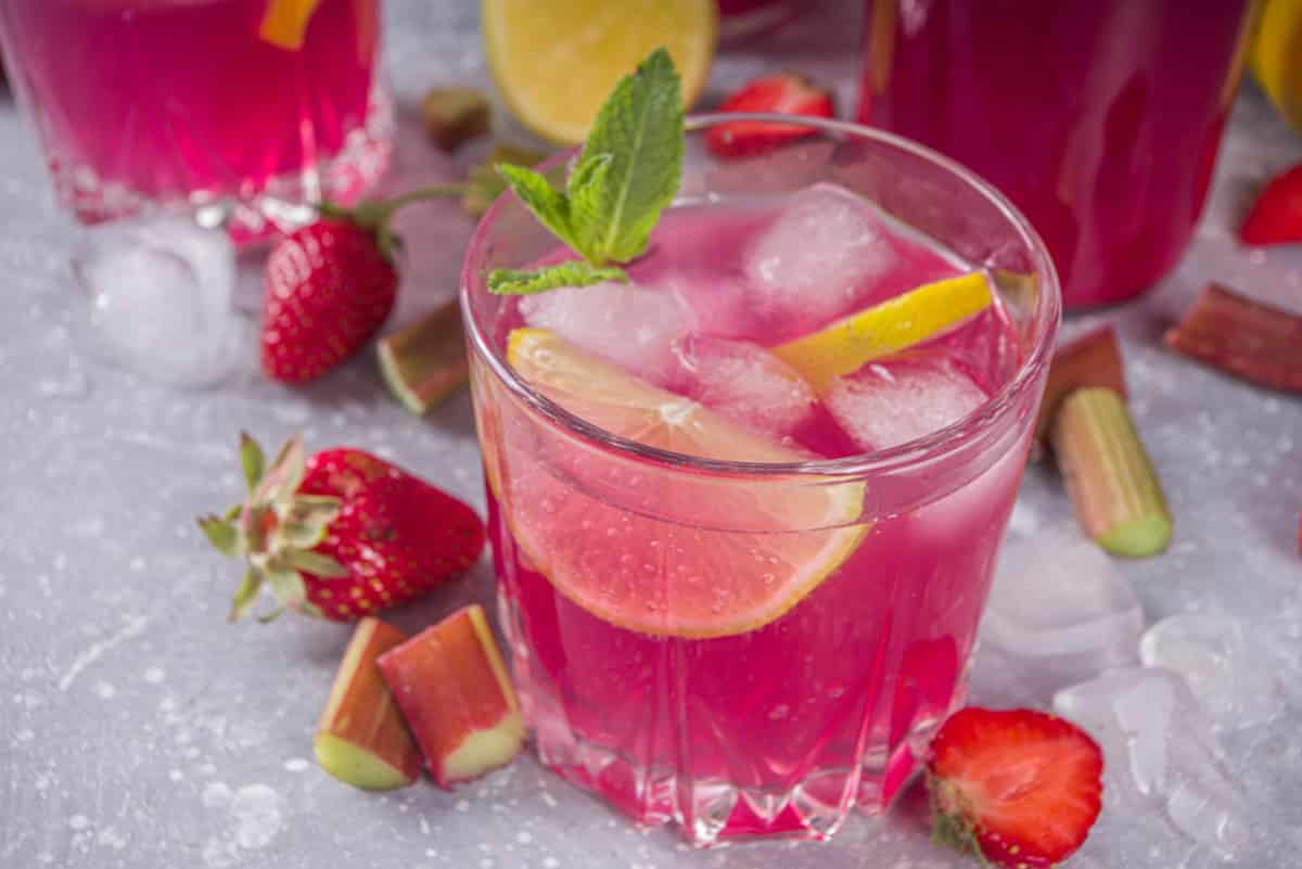 Strawberry rhubarb gin with the Thermomix®
