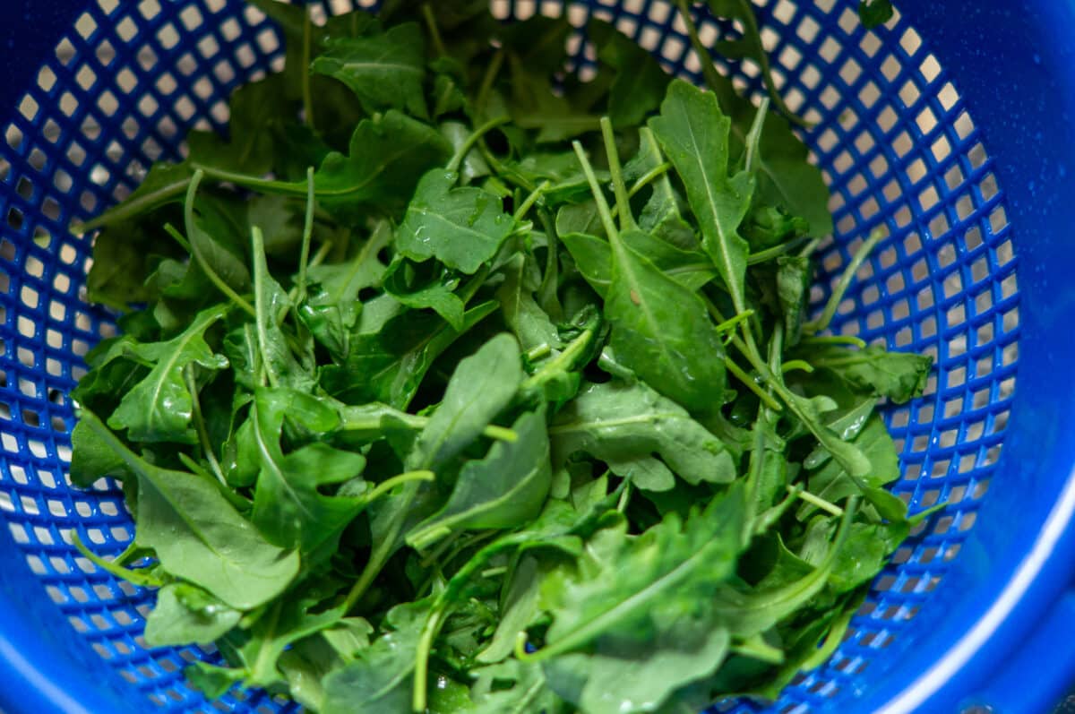 Washing rocket