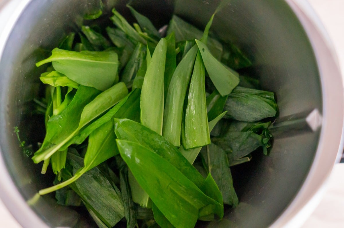 Wild garlic in the Thermomix® mixing bowl