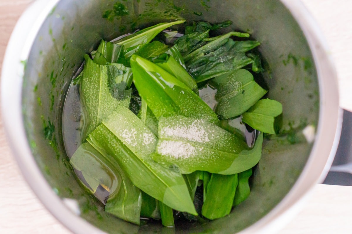 Wild garlic in the Thermomix®