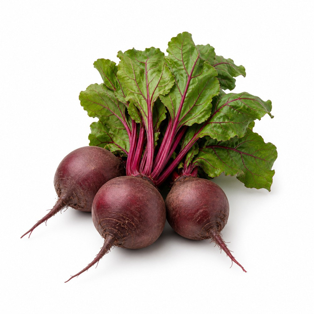 Seasonal Calendar Thermomix® Recipes | MixMyDay 33 Beetroot