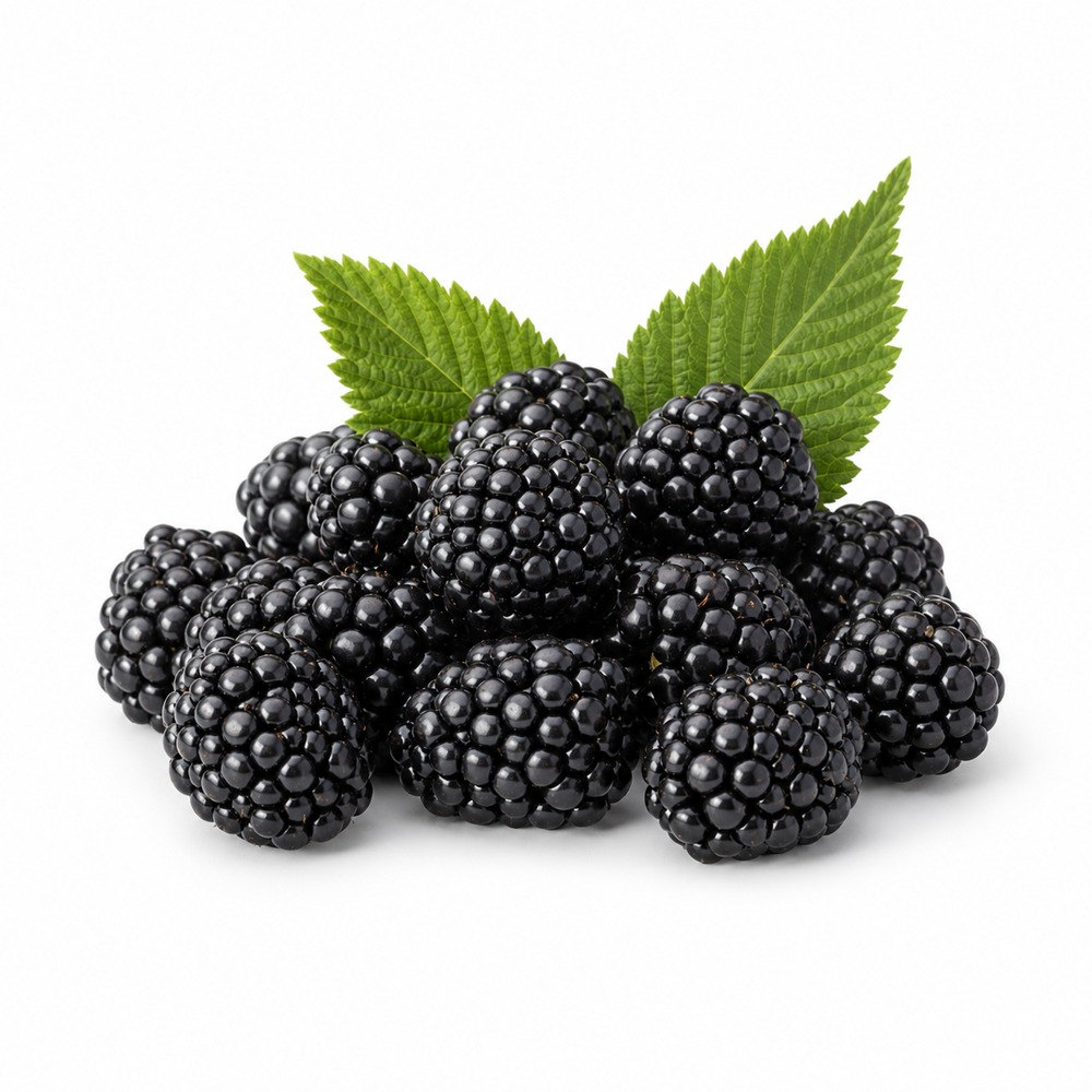 Seasonal Calendar Thermomix® Recipes | MixMyDay 7 Blackberries