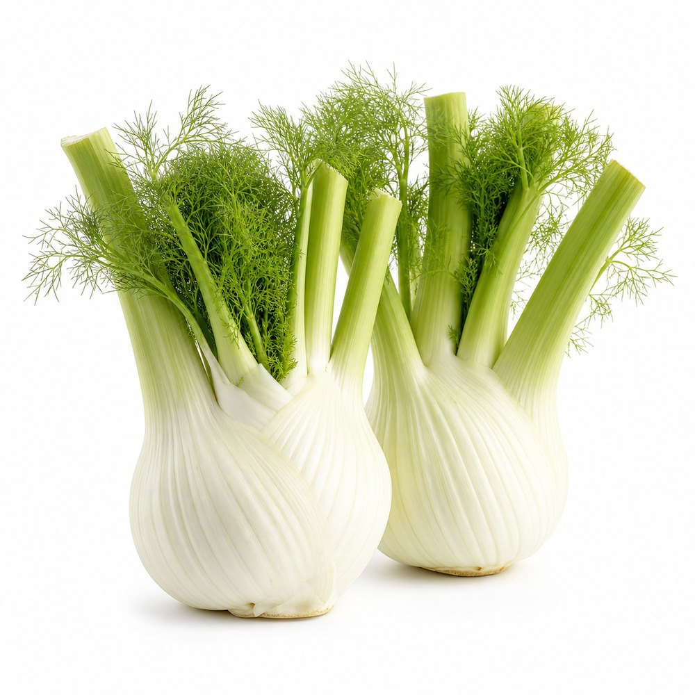 Seasonal Calendar Thermomix® Recipes | MixMyDay 29 Fennel