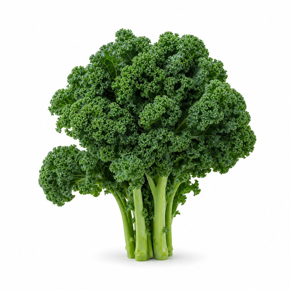 Seasonal Calendar Thermomix® Recipes | MixMyDay 40 Kale