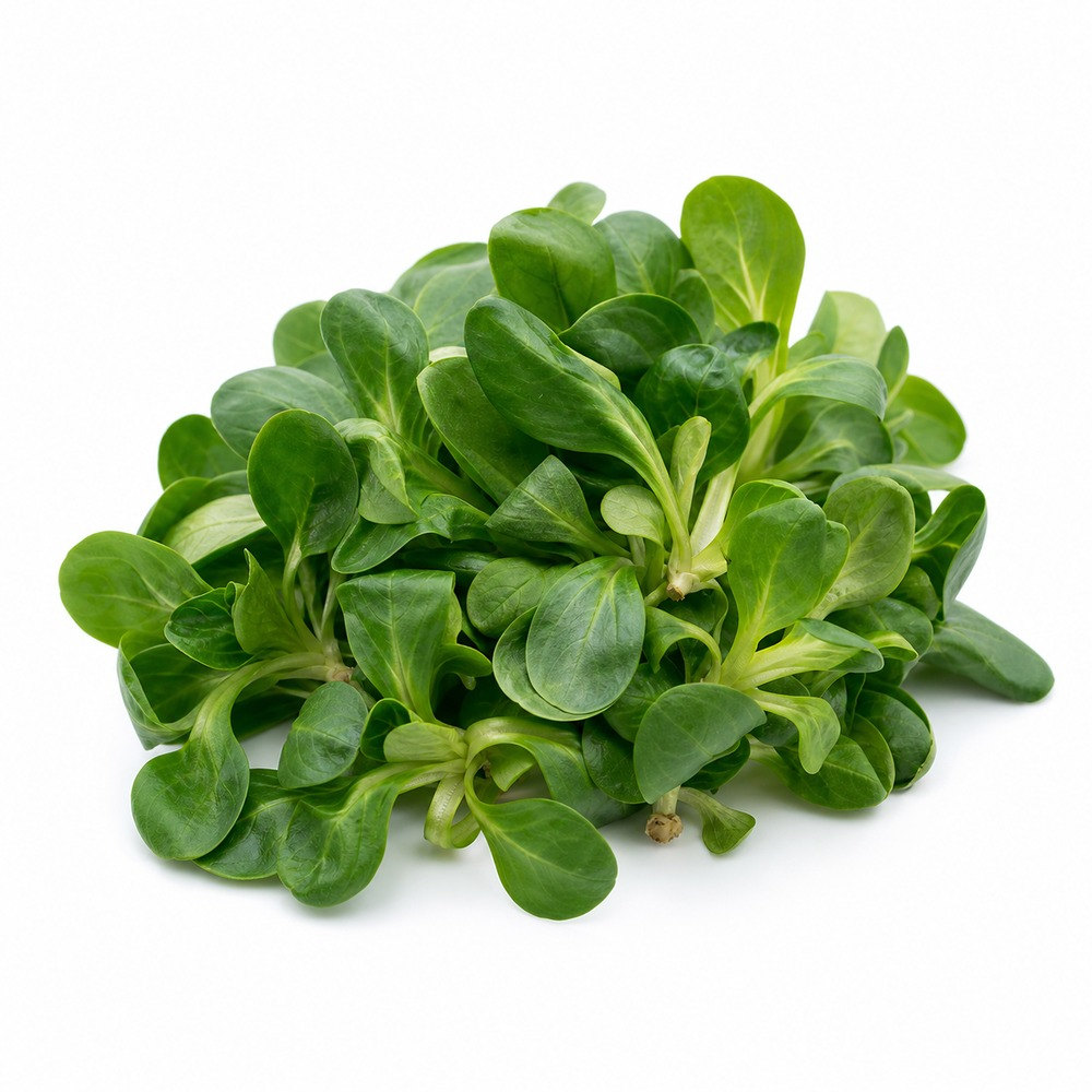 Seasonal Calendar Thermomix® Recipes | MixMyDay 39 Lambs Lettuce