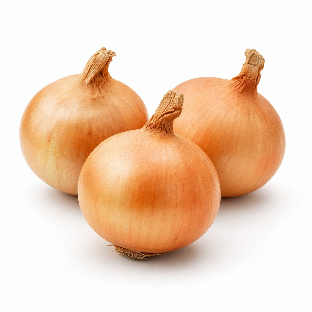Seasonal Calendar Thermomix® Recipes | MixMyDay 45 Onions