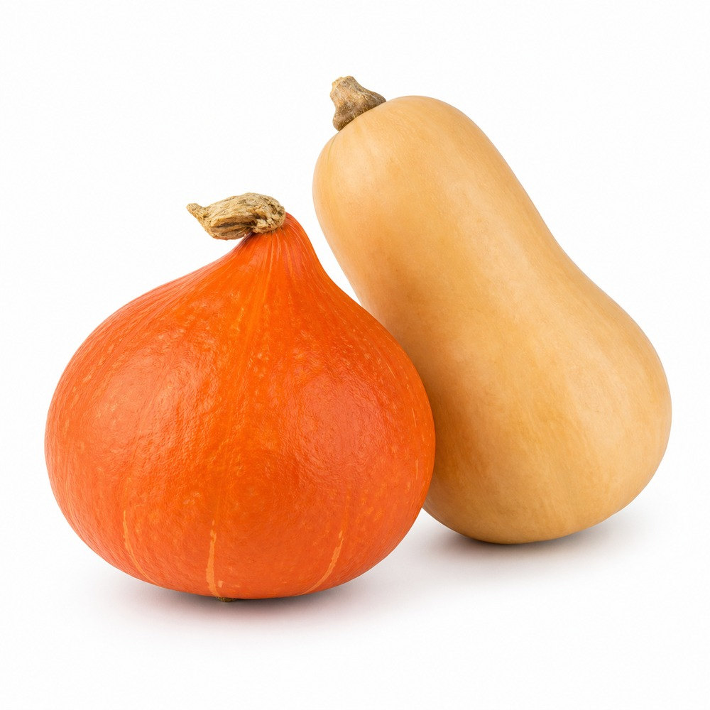 Seasonal Calendar Thermomix® Recipes | MixMyDay 26 Pumpkin and Squash