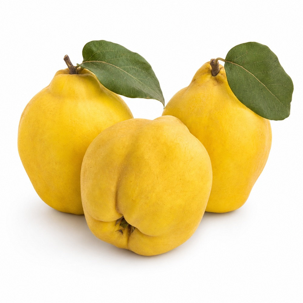 Seasonal Calendar Thermomix® Recipes | MixMyDay 11 Quinces