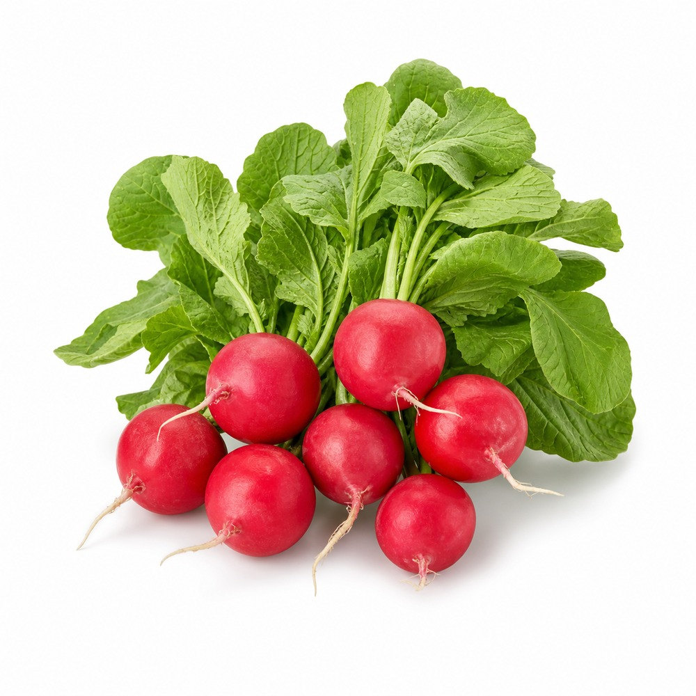 Seasonal Calendar Thermomix® Recipes | MixMyDay 16 Radishes