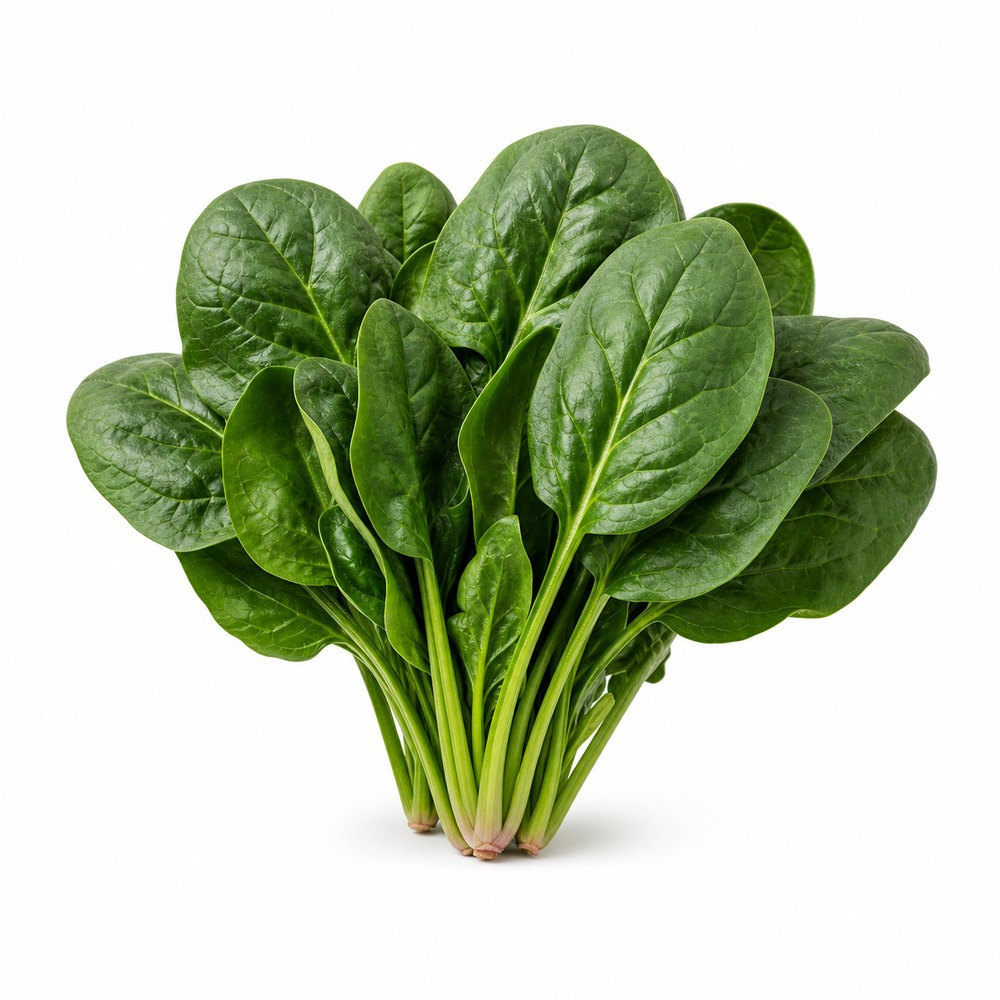 Seasonal Calendar Thermomix® Recipes | MixMyDay 17 Spinach