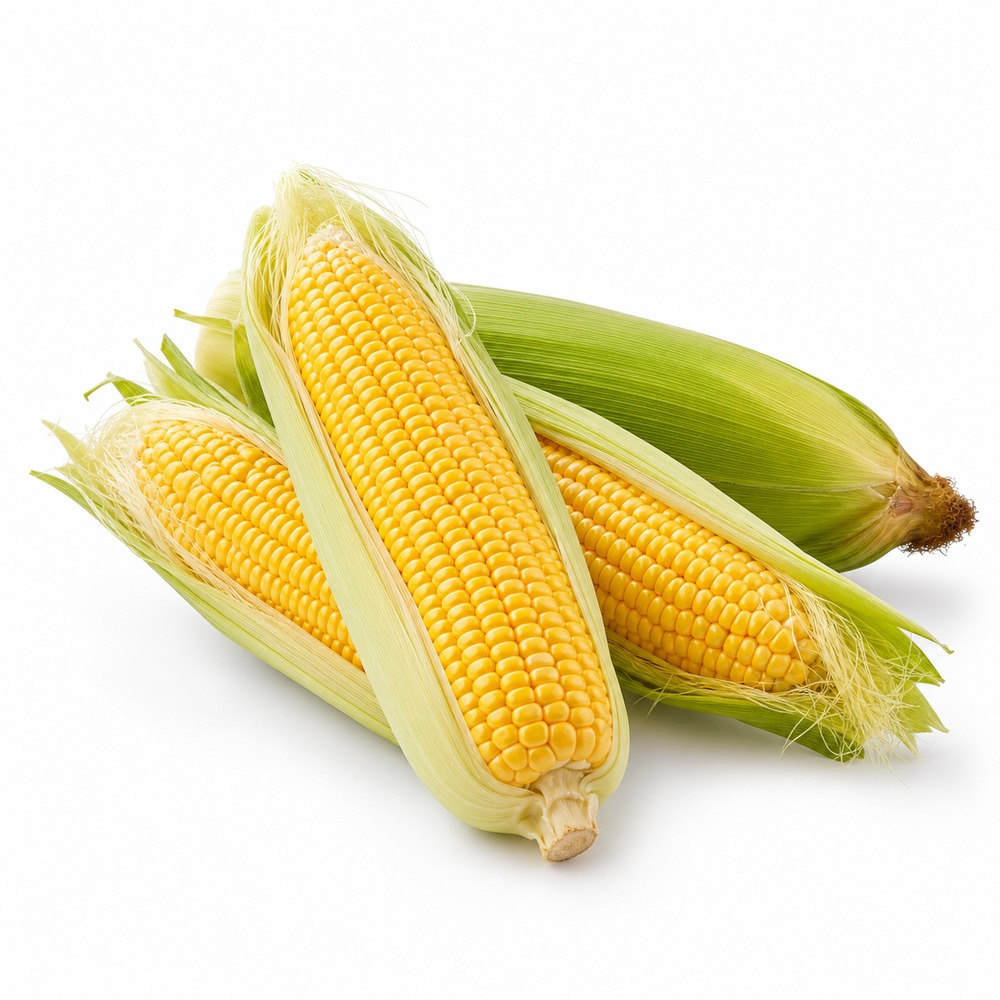 Seasonal Calendar Thermomix® Recipes | MixMyDay 28 Sweetcorn